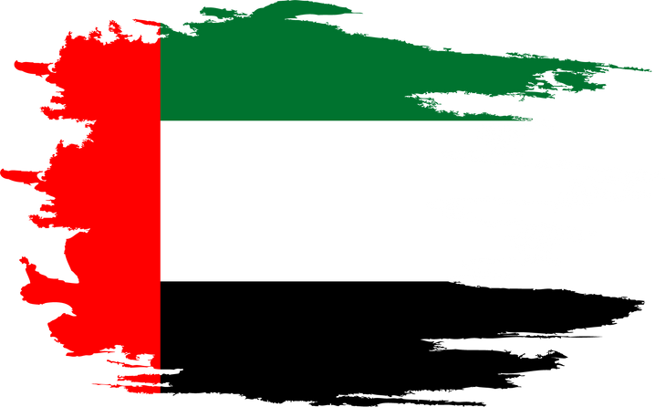 Flag of the United Arab Emirates. UAE flag.